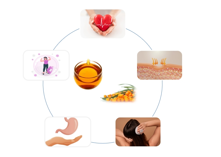 organic sea buckthorn oil Functions organic sea buckthorn oil Functions