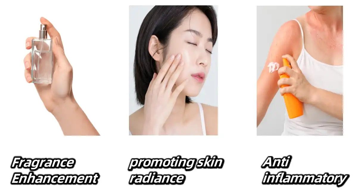 Sclareolide Powder Functions Sclareolide Powder Functions