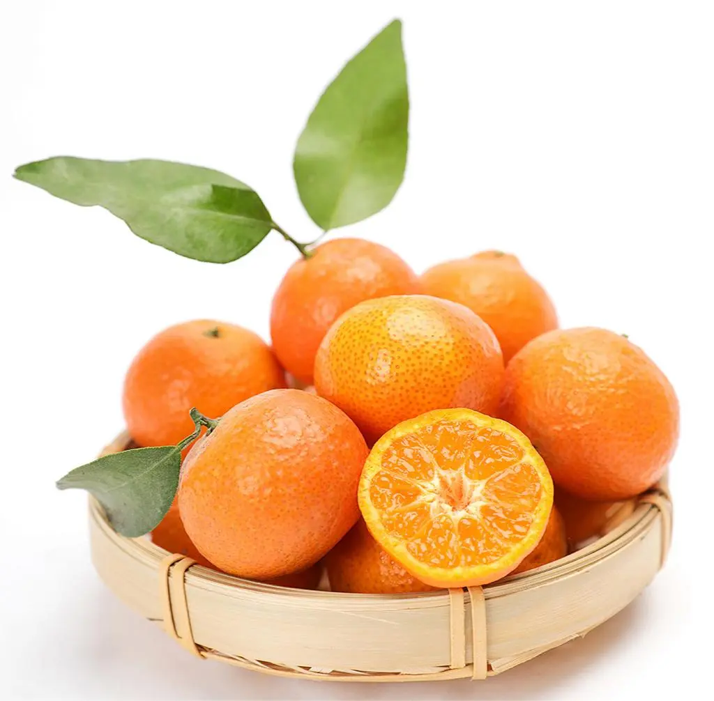 Hesperidin Powder Hesperidin Powder