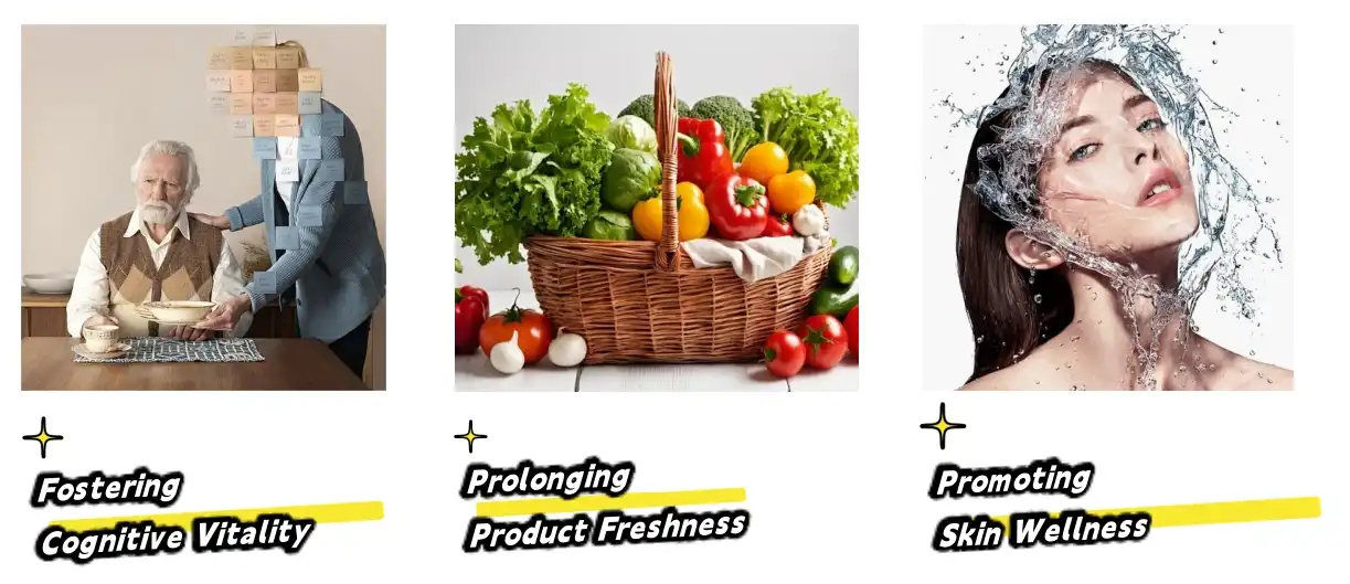 Carnosic Acid Powder Functions Carnosic Acid Powder Functions