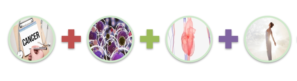 naringin extract powder Functions naringin extract powder Functions