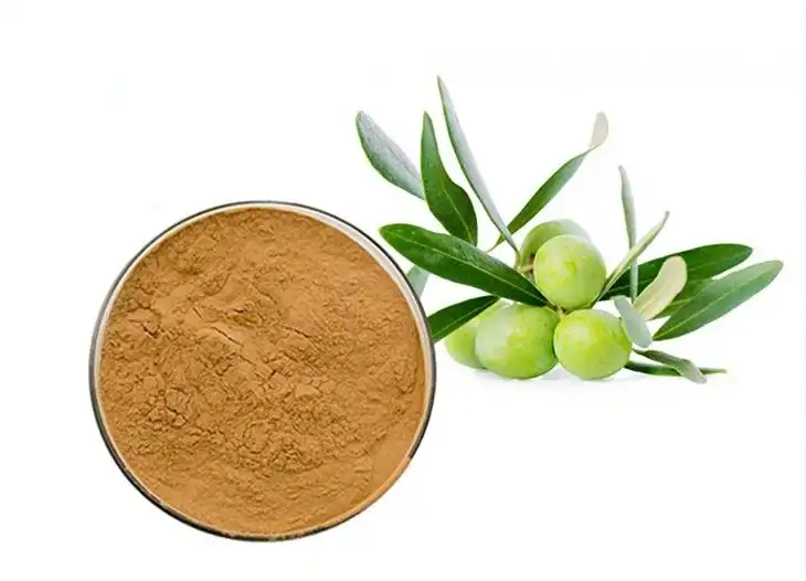 Oleuropein Powder Oleuropein Powder