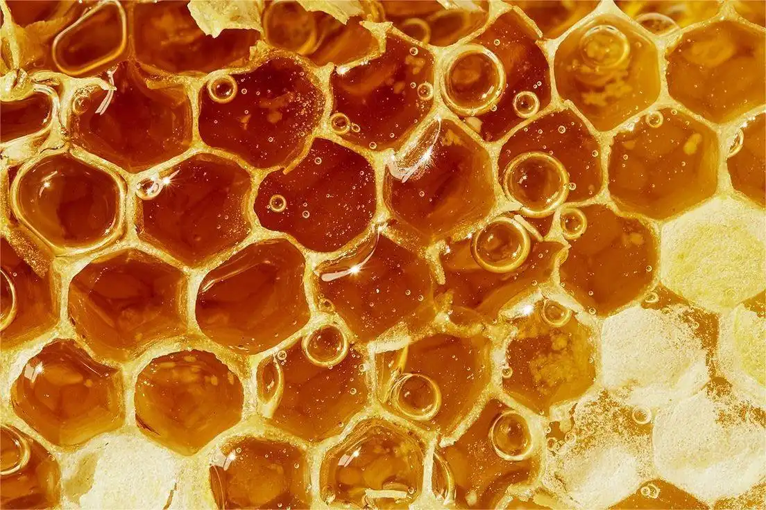 Beeswax Acid Powder Beeswax Acid Powder