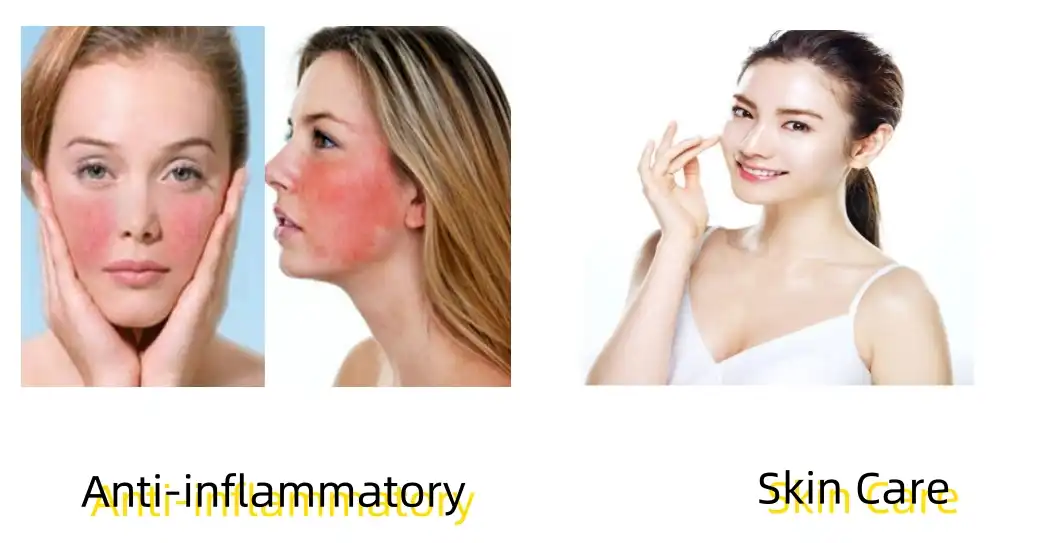 Beeswax Acid Powder Functions Beeswax Acid Powder Functions