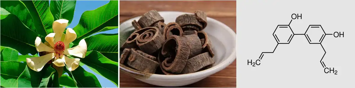 Honokiol Powder Honokiol Powder