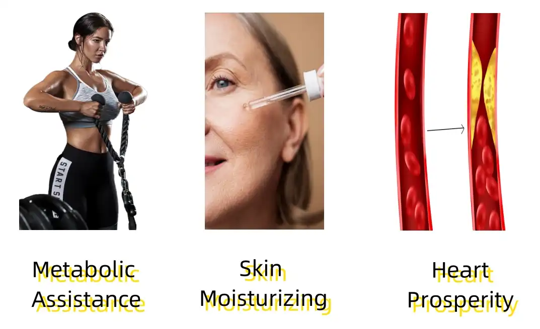 Pantothenic Acid Powder Functions Pantothenic Acid Powder Functions