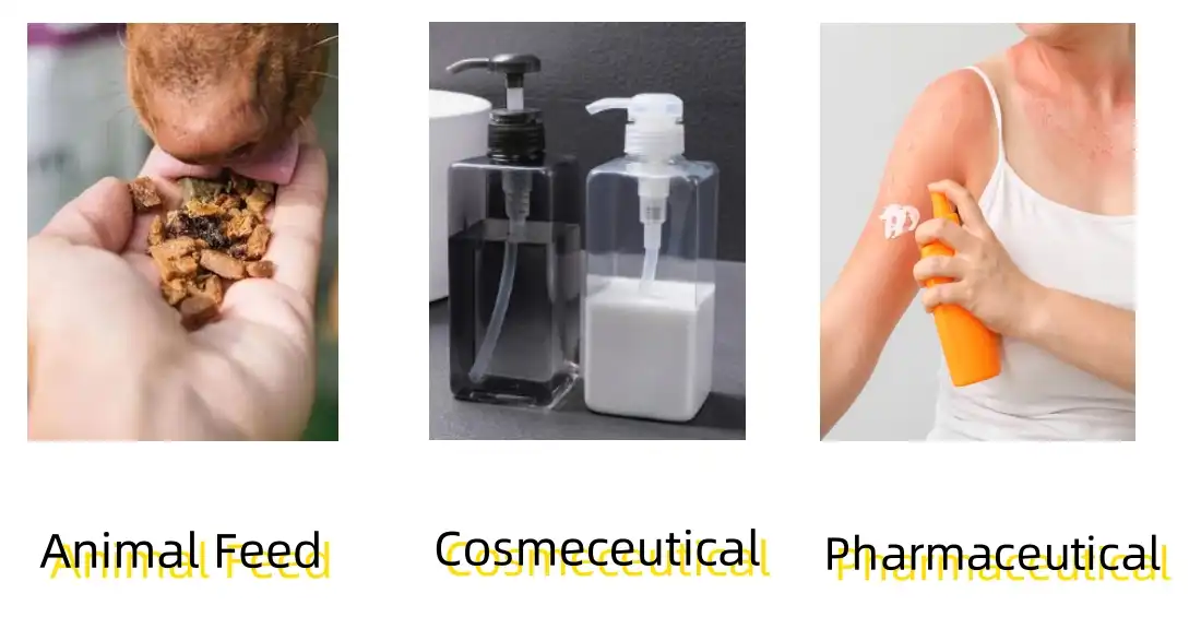 Pantothenic Acid Powder Application Pantothenic Acid Powder Application