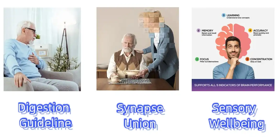 Pyridoxine Hydrochloride Powder Functions Pyridoxine Hydrochloride Powder Functions