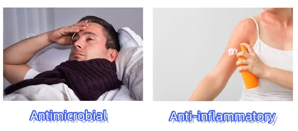 Gallic Acid Powder Functions Gallic Acid Powder Functions