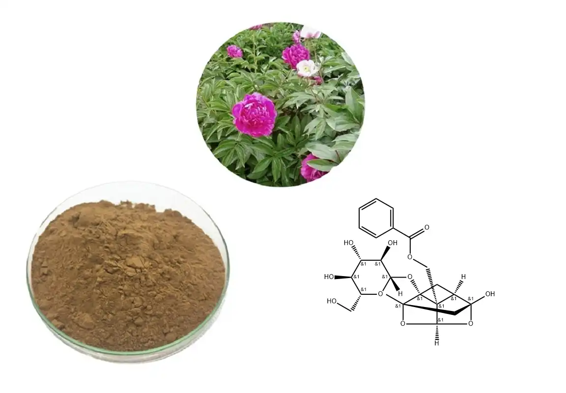 Paeoniflorin Powder Paeoniflorin Powder