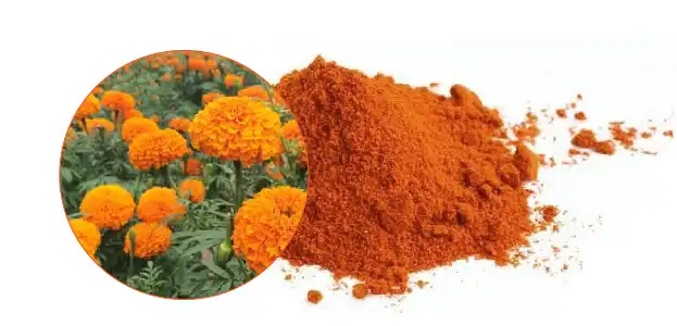 Pure Lutein Powder Pure Lutein Powder