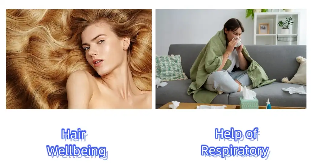 L-Cysteine Powder Functions L-Cysteine Powder Functions