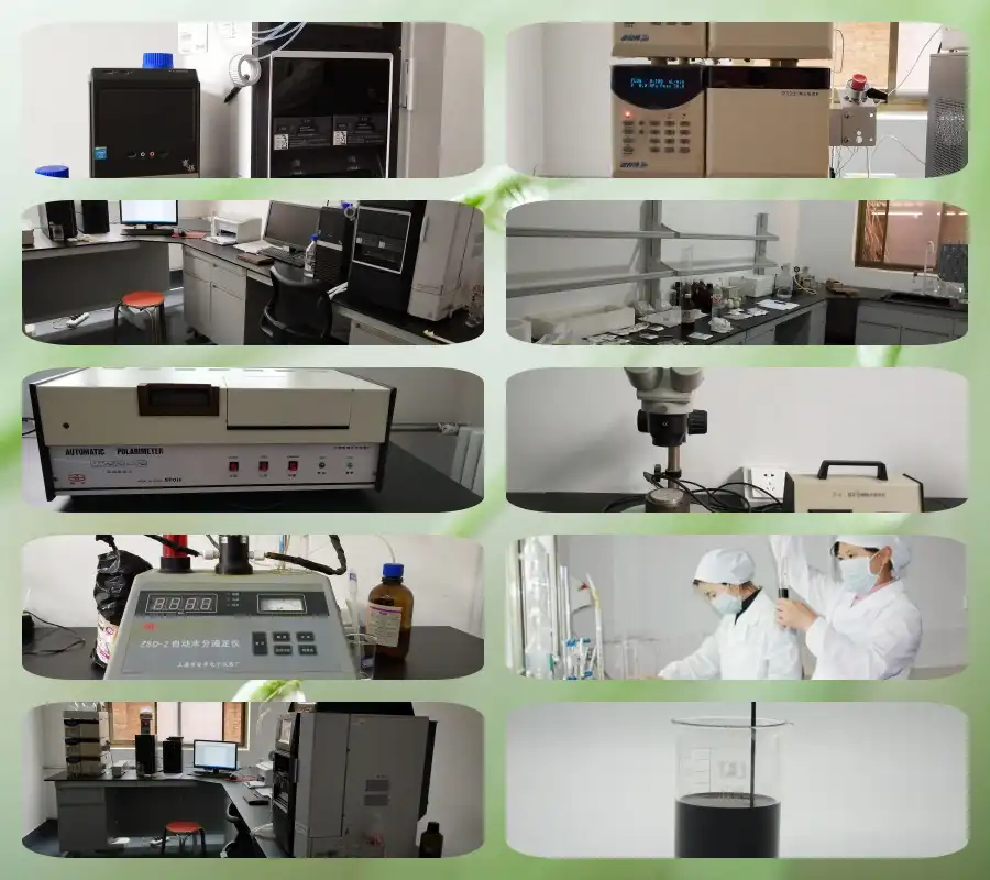 Chlorella Powder Chlorella Powder