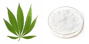 Cannabidiol Isolate Powder Cannabidiol Isolate Powder