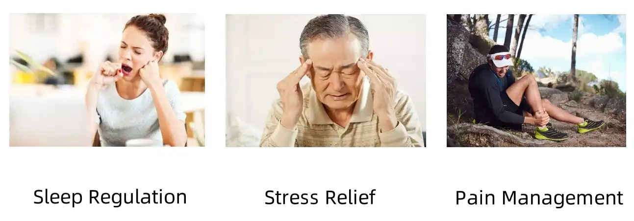 Cannabidiol Isolate Powder Functions Cannabidiol Isolate Powder Functions