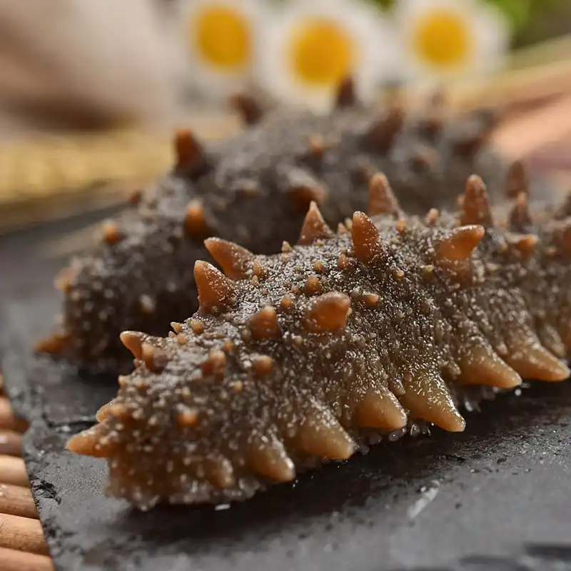 Sea Cucumber Peptide Sea Cucumber Peptide