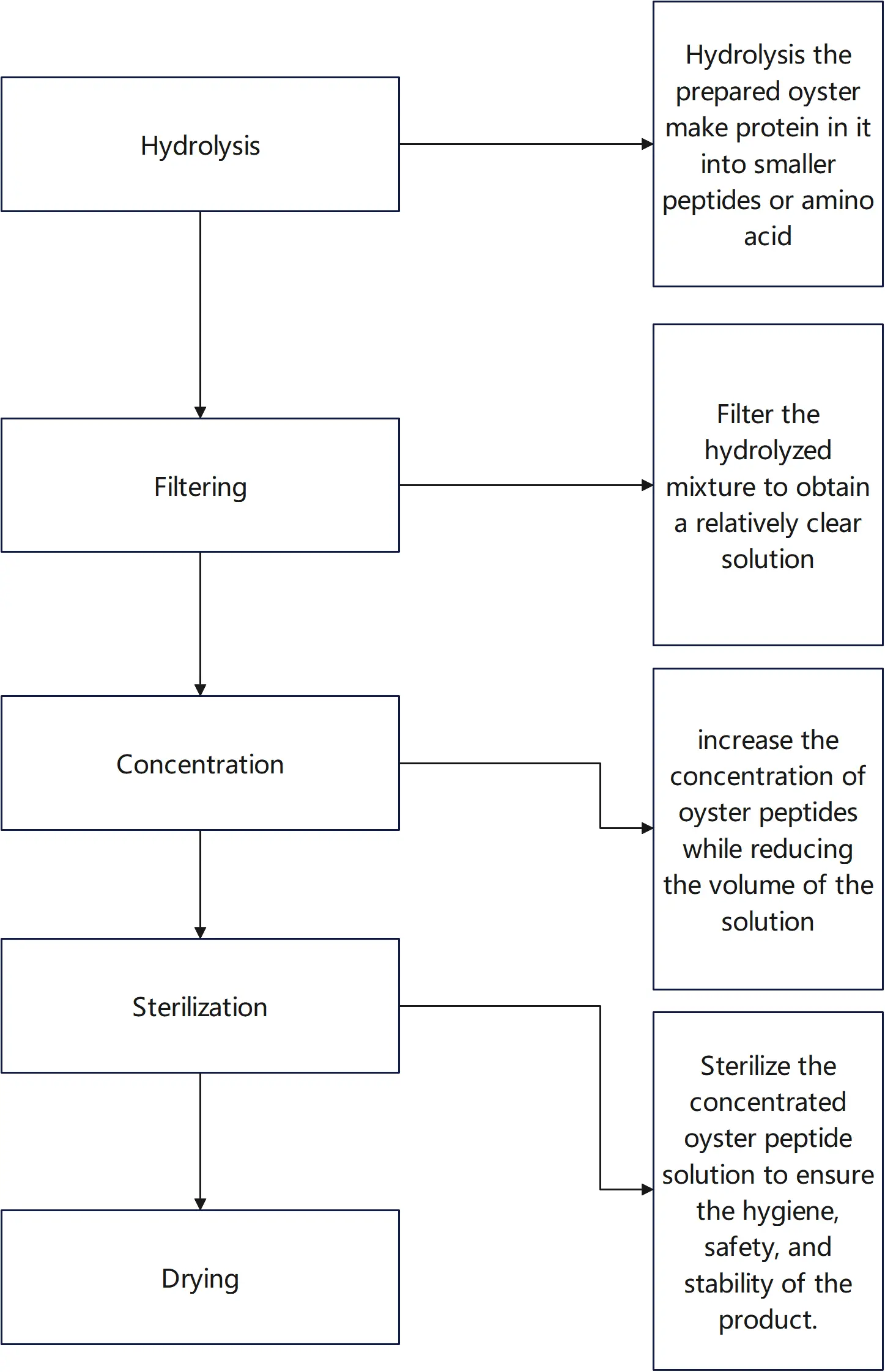 oyster peptide Process oyster peptide Process