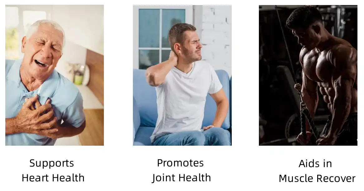 Tuna Peptides Functions Tuna Peptides Functions