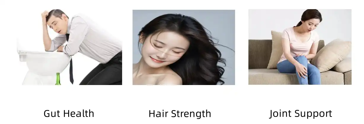 Pure Collagen Peptides Powder Functions Pure Collagen Peptides Powder Functions