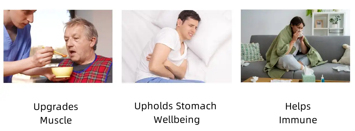 Soybean Peptide Functions Soybean Peptide Functions