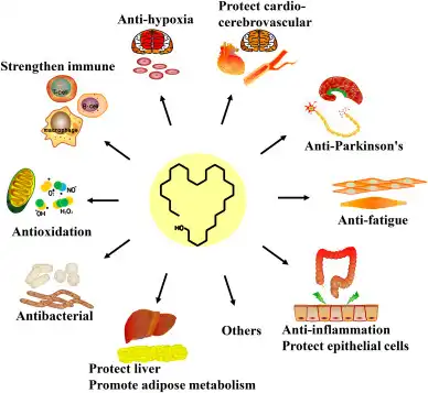 The Function of Octacosanol The Function of Octacosanol