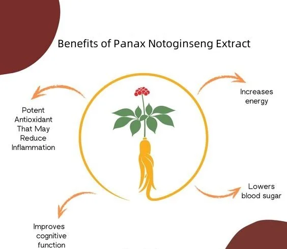 Panax Notoginseng Panax Notoginseng