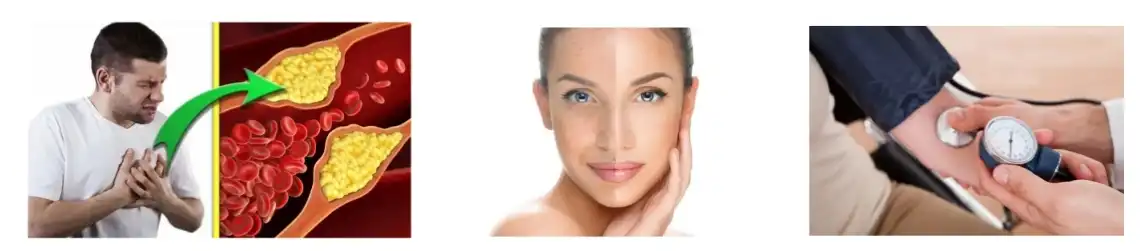 Functions of Puerarin Powder Functions of Puerarin Powder