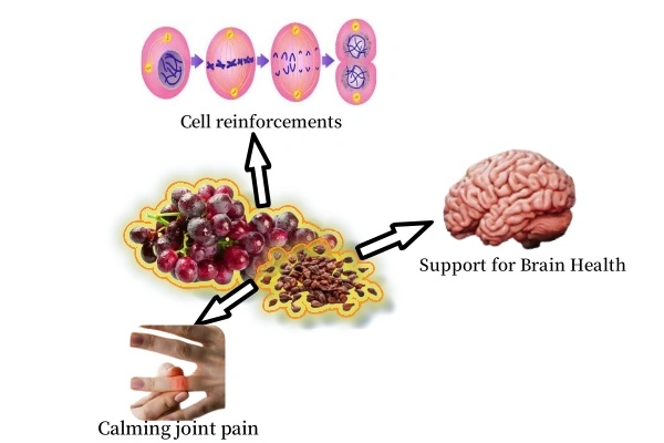 grape seed function grape seed function