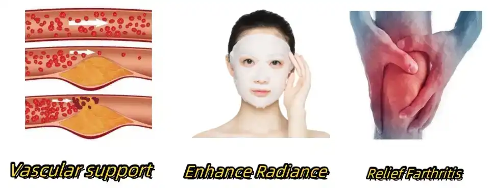 Functions of rutin extract Functions of rutin extract