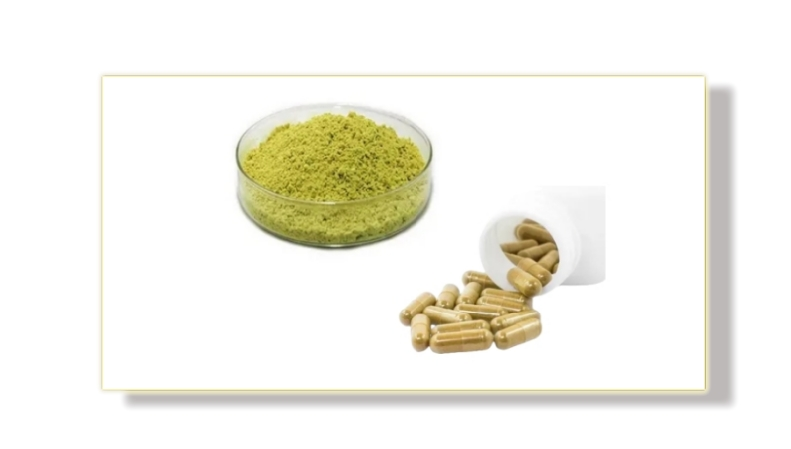 Quercetin Powder Quercetin Powder