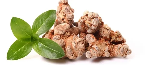 panax notoginseng extract panax notoginseng extract