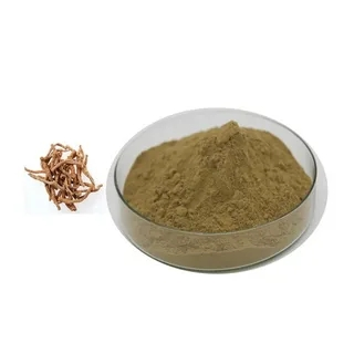 Panax Notoginseng Extract powder Panax Notoginseng Extract powder