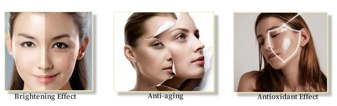 tranexamic acid powder function tranexamic acid powder function