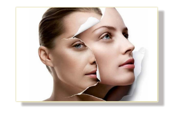 Cnidium Monnieri Extract for Anti-aging Cnidium Monnieri Extract for Anti-aging