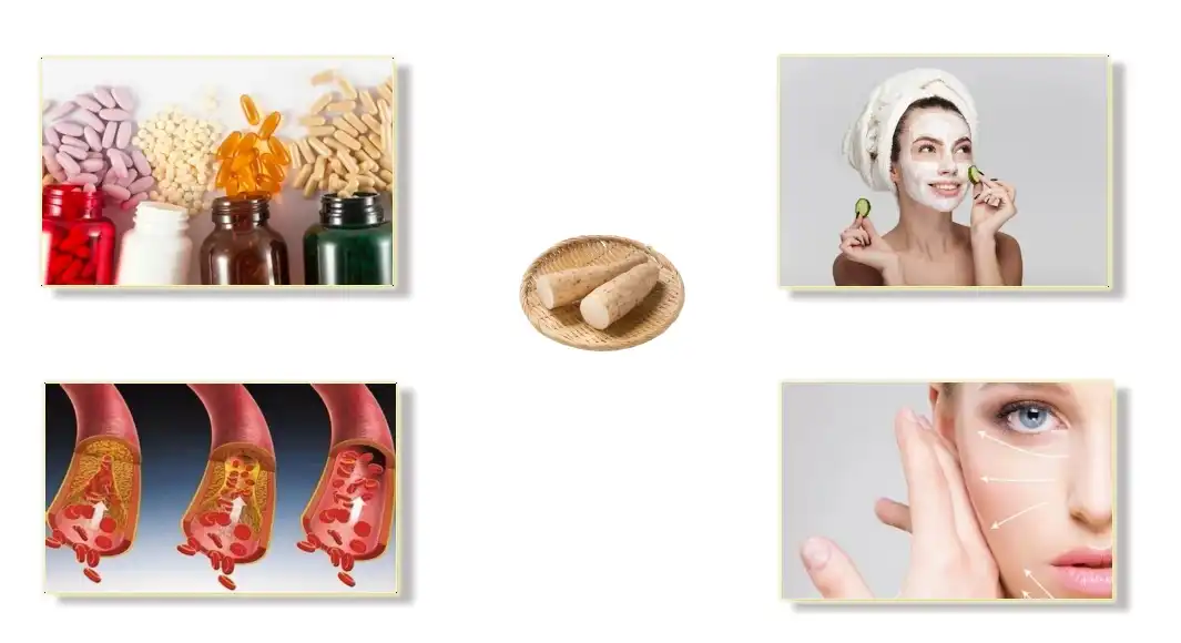 The Function of Diosgenin Powder The Function of Diosgenin Powder