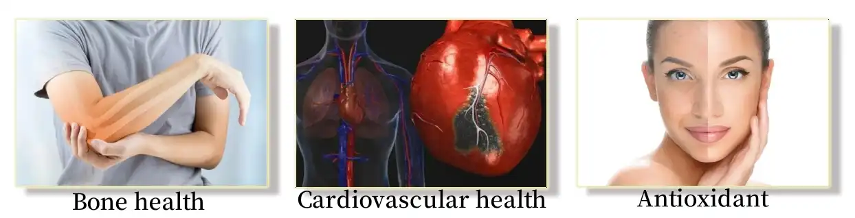 Function of Daidzeol Function of Daidzeol
