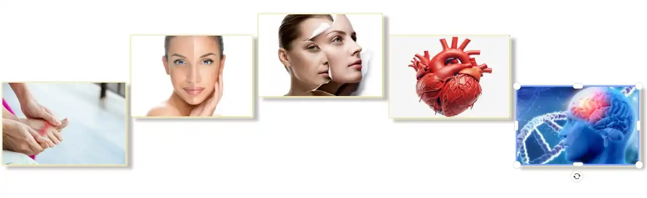 Benefits of Curcumin Powder