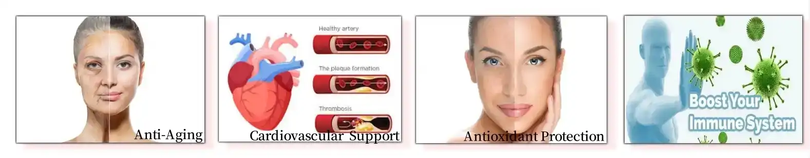 Benefits of Resveratrol Extract Powder Benefits of Resveratrol Extract Powder