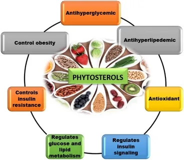 Phytosterol Powder Phytosterol Powder