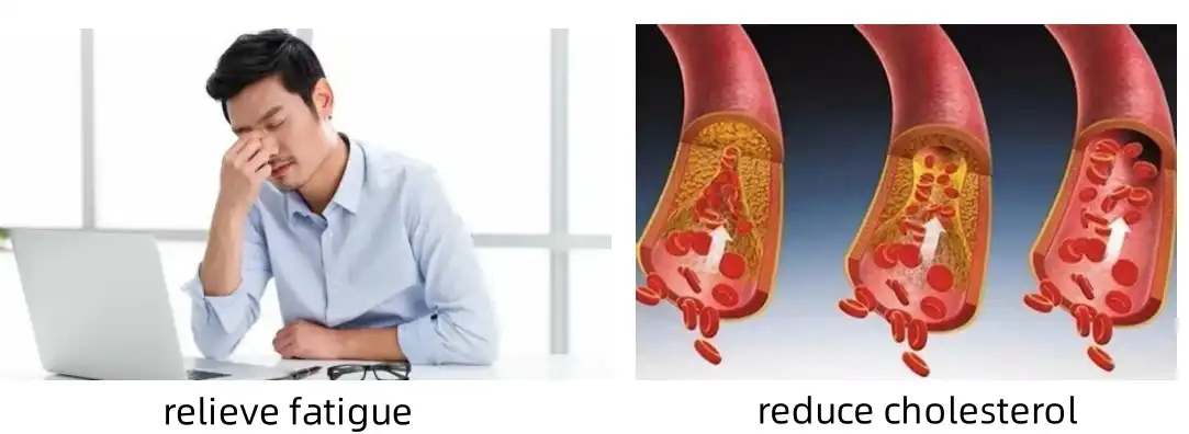 function of octacosanol function of octacosanol