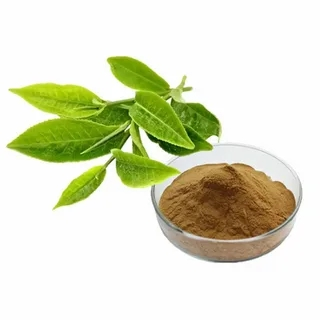 tea polyphenols tea polyphenols