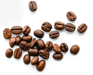chlorogenic acid powder in espresso beans chlorogenic acid powder in espresso beans