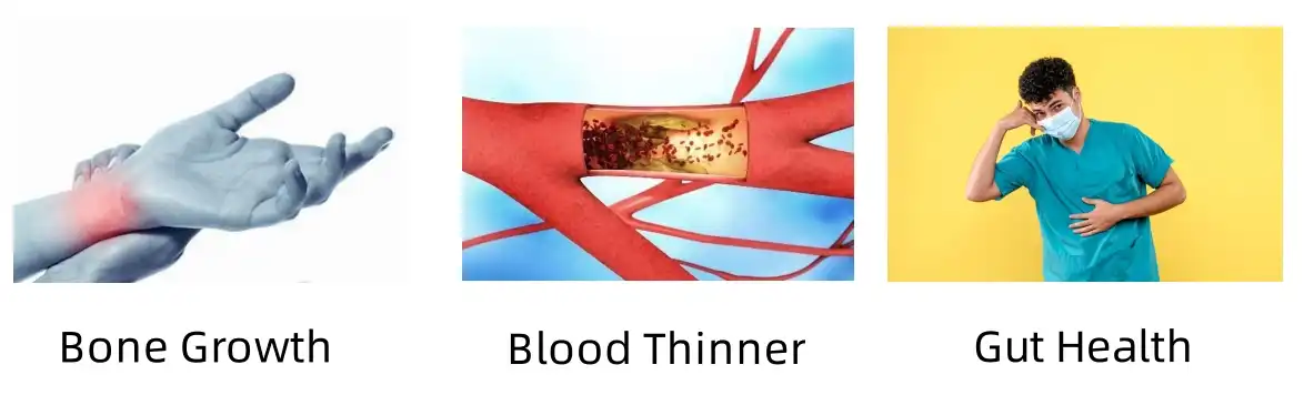 Function of Dextran Function of Dextran