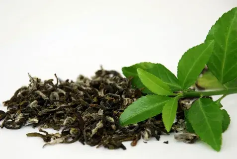 natural tea polyphenols natural tea polyphenols