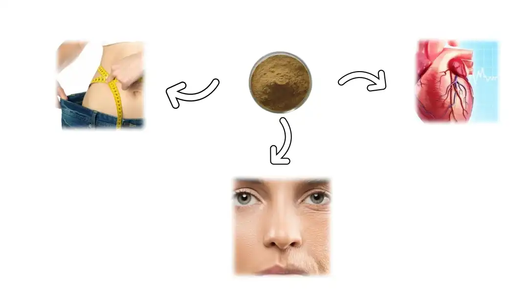 Function of Natural Tea Polyphenols Function of Natural Tea Polyphenols