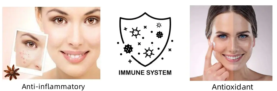 Skin care of Shikimic Acid Powder Skin care of Shikimic Acid Powder