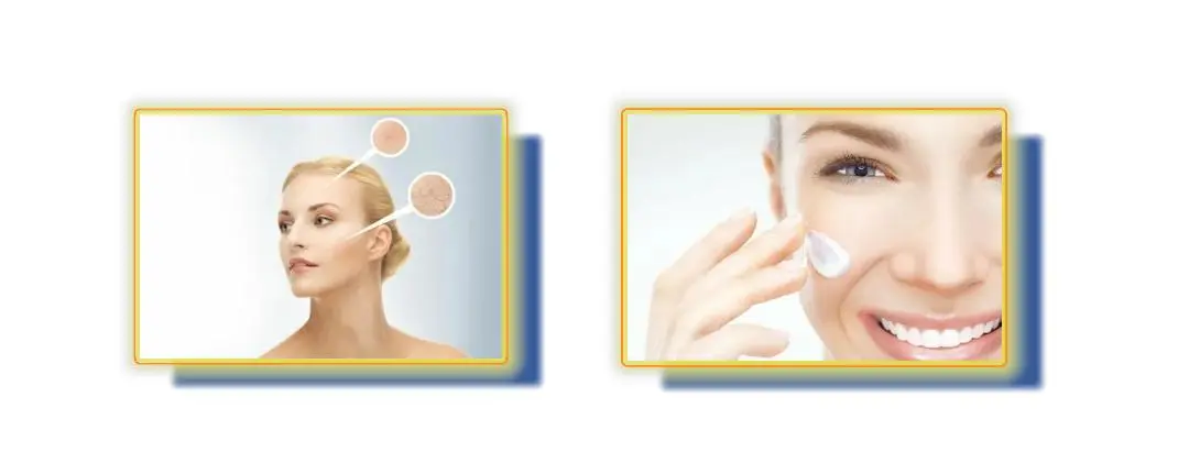 Shikimic Acid Powder Shikimic Acid Powder