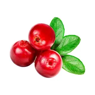 Alpha Arbutin Powder Alpha Arbutin Powder