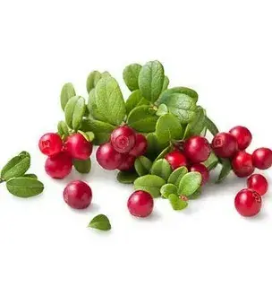 alpha arbutin powder alpha arbutin powder