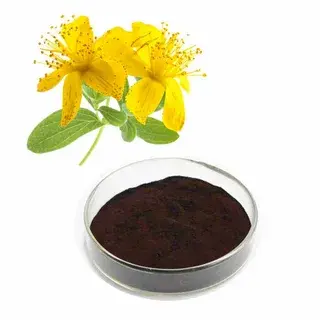 St John's Wort Extract Powder St John's Wort Extract Powder